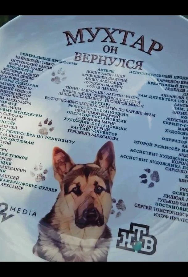 Мухтар. Он вернулся Смотреть сериал 2025 онлайн